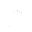 Surface In